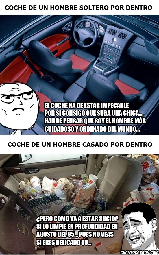 Navegador de artículos
